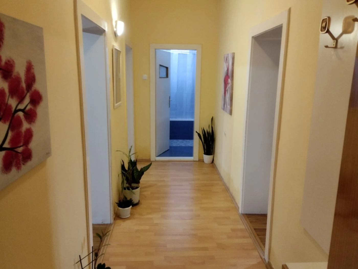 kuca na prodaju Temerin 331m2 504050