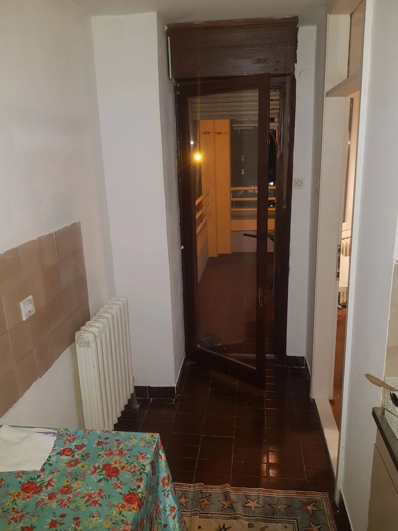 stan na prodaju Novi Sad 45m2 504100