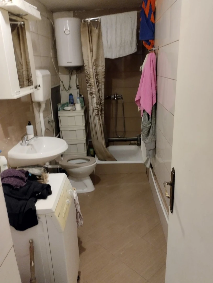 stan na prodaju Novi Sad 36m2 504406