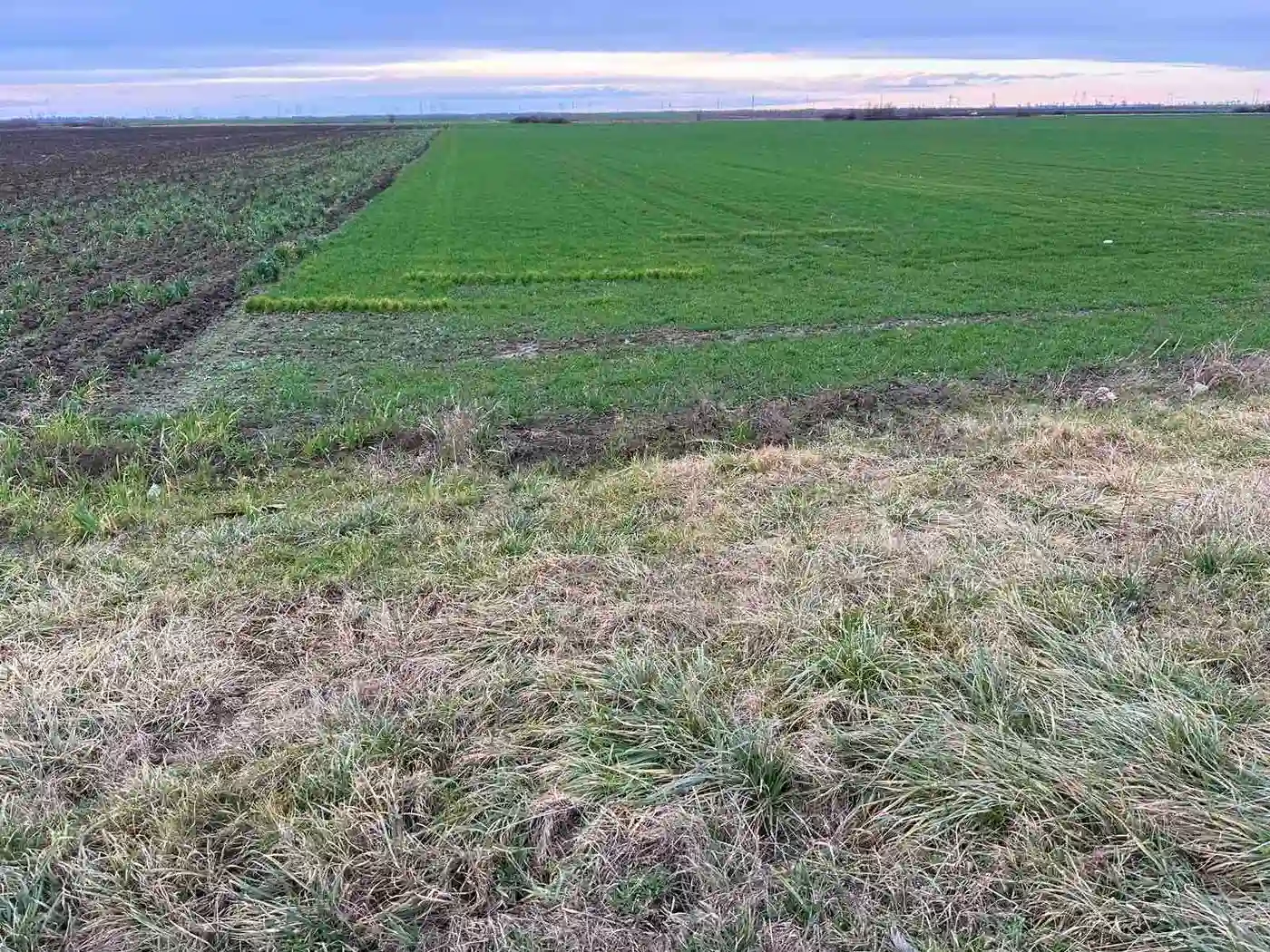 plac na prodaju Kać 8085m2 497785