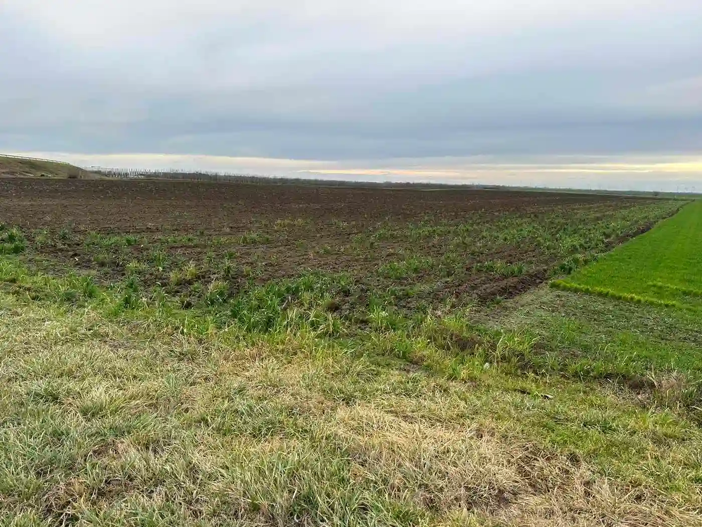 plac na prodaju Kać 8085m2 497785