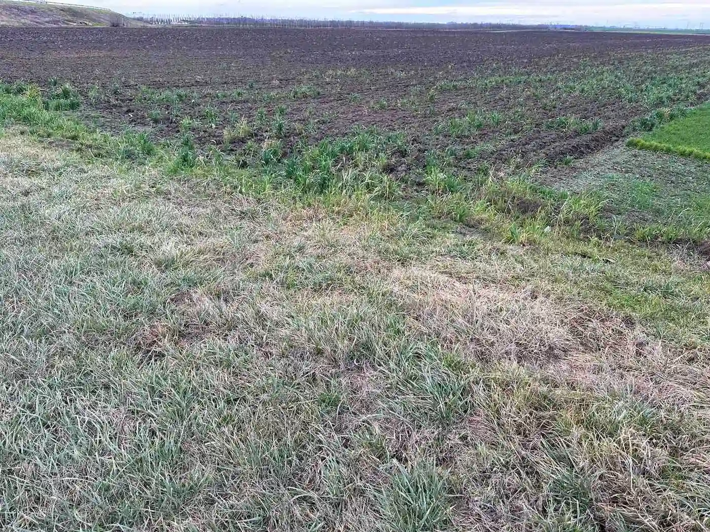 plac na prodaju Kać 8085m2 497785