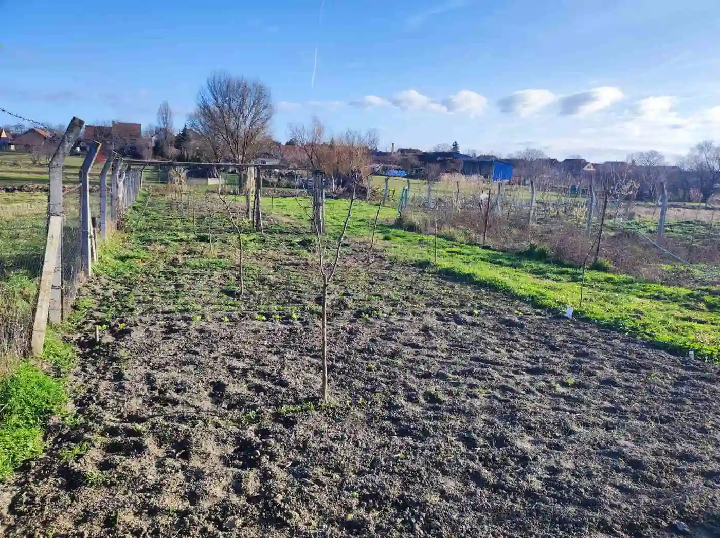 kuca na prodaju Temerin 168m2 504475