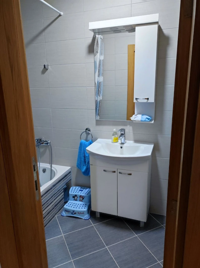 kuca na prodaju Temerin 168m2 504475