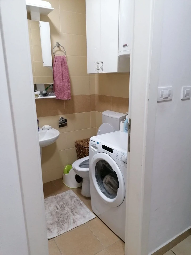 stan na prodaju Petrovaradin 39m2 504445