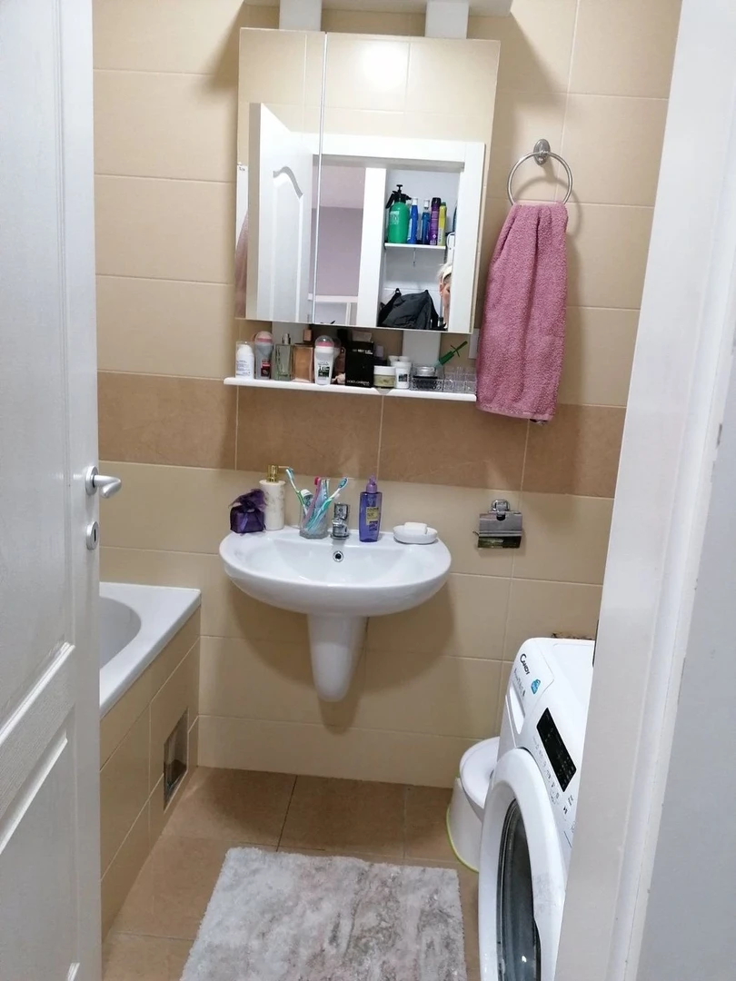 stan na prodaju Petrovaradin 39m2 504445