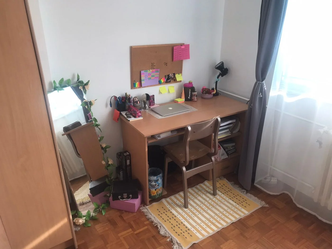 stan na prodaju Novi Sad 46m2 504692