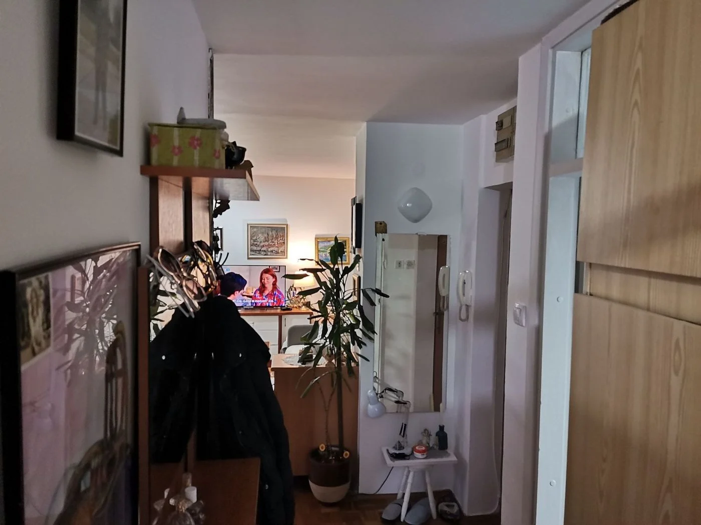 stan na prodaju Novi Sad 53m2 504684