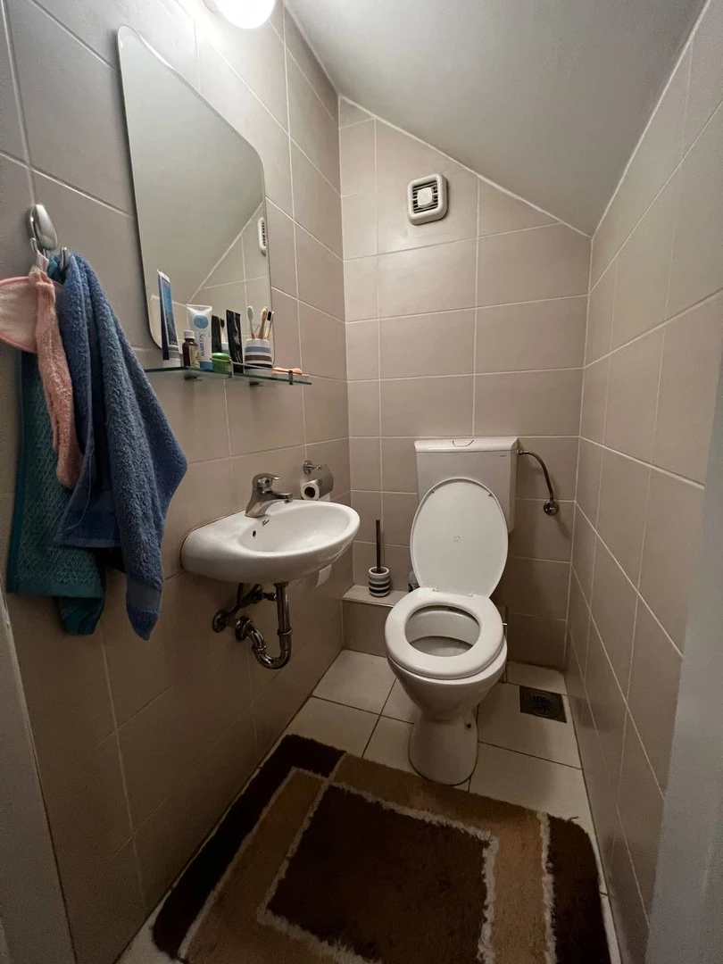 stan na prodaju Novi Sad 45m2 504673