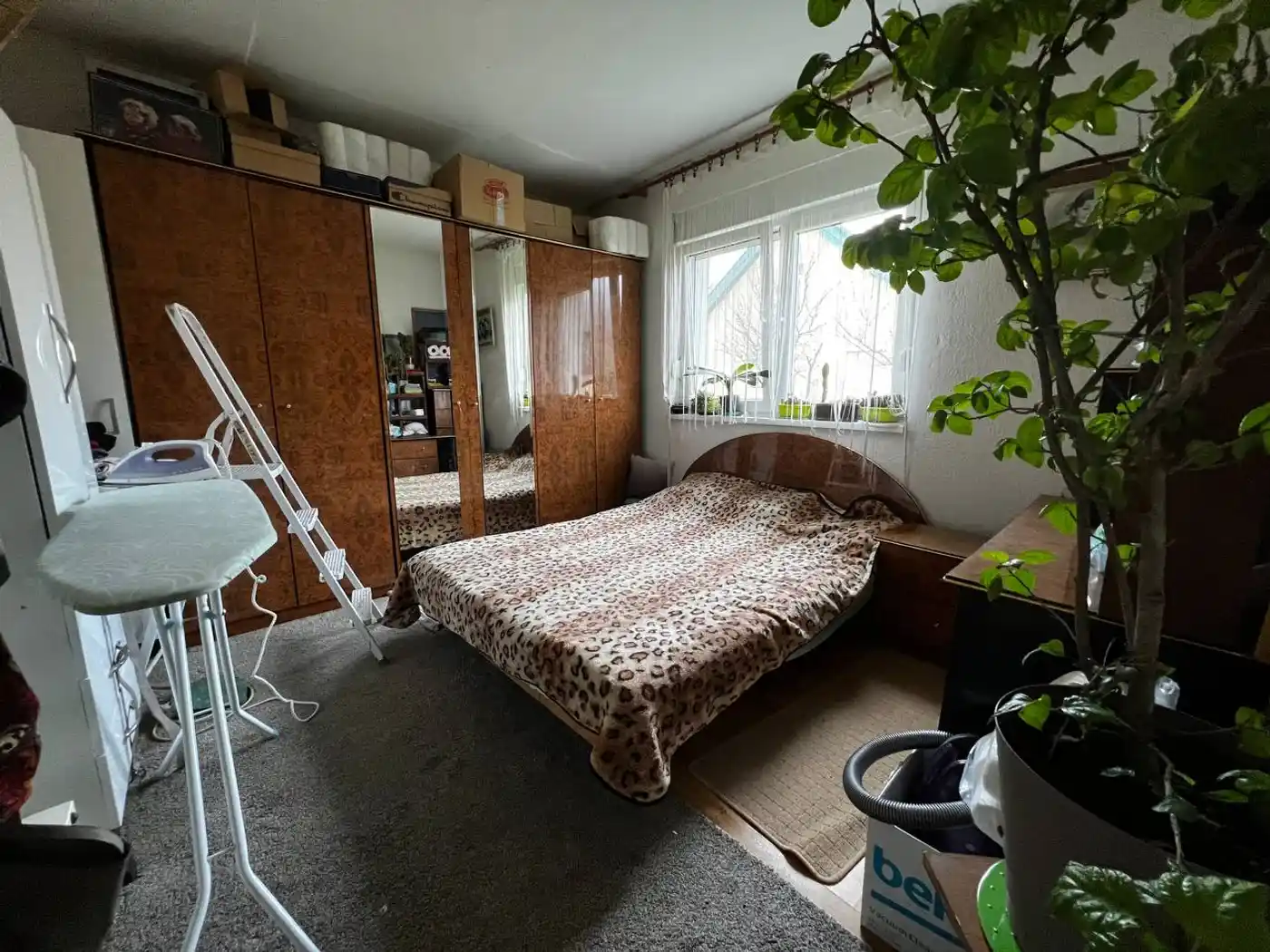 kuca na prodaju Petrovaradin 55m2 504730