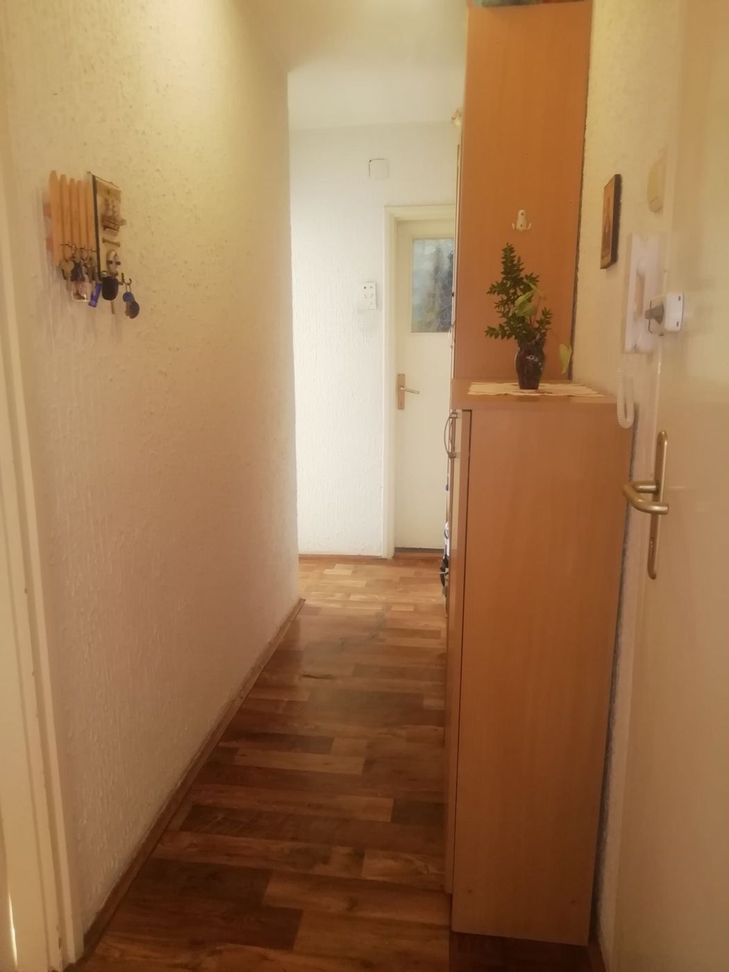 stan na prodaju Novi Sad 46m2 504692