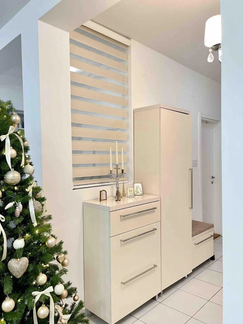 stan na prodaju Novi Sad 50m2 504818