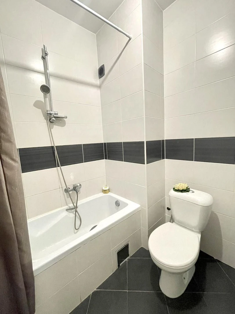 stan na prodaju Novi Sad 50m2 504818