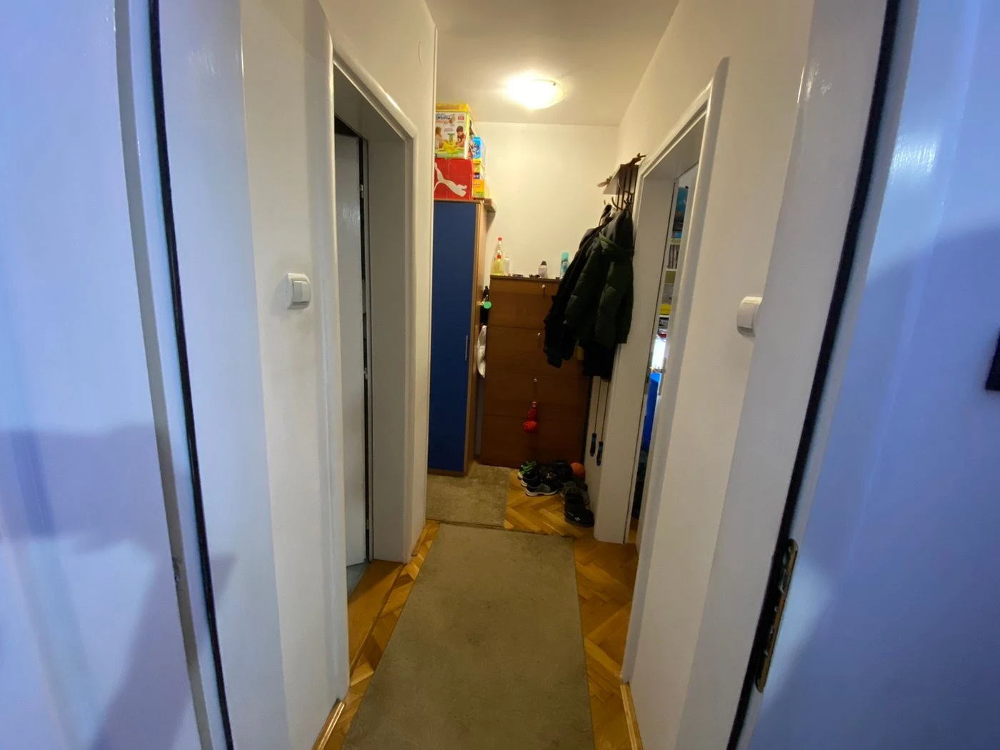 stan na prodaju Novi Sad 43m2 504854