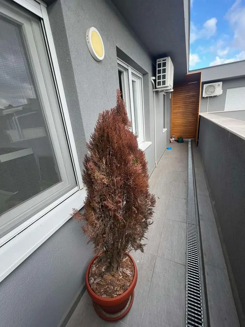 stan na prodaju Novi Sad 90m2 504848