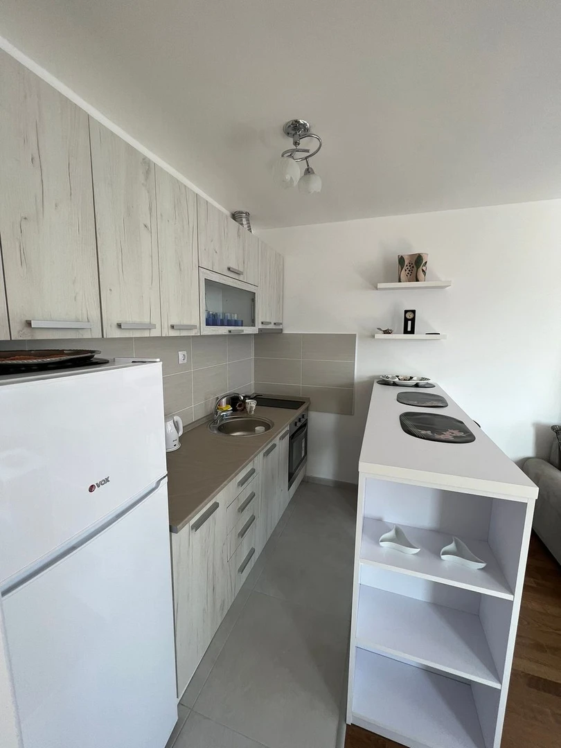 stan na prodaju Novi Sad 30m2 504853