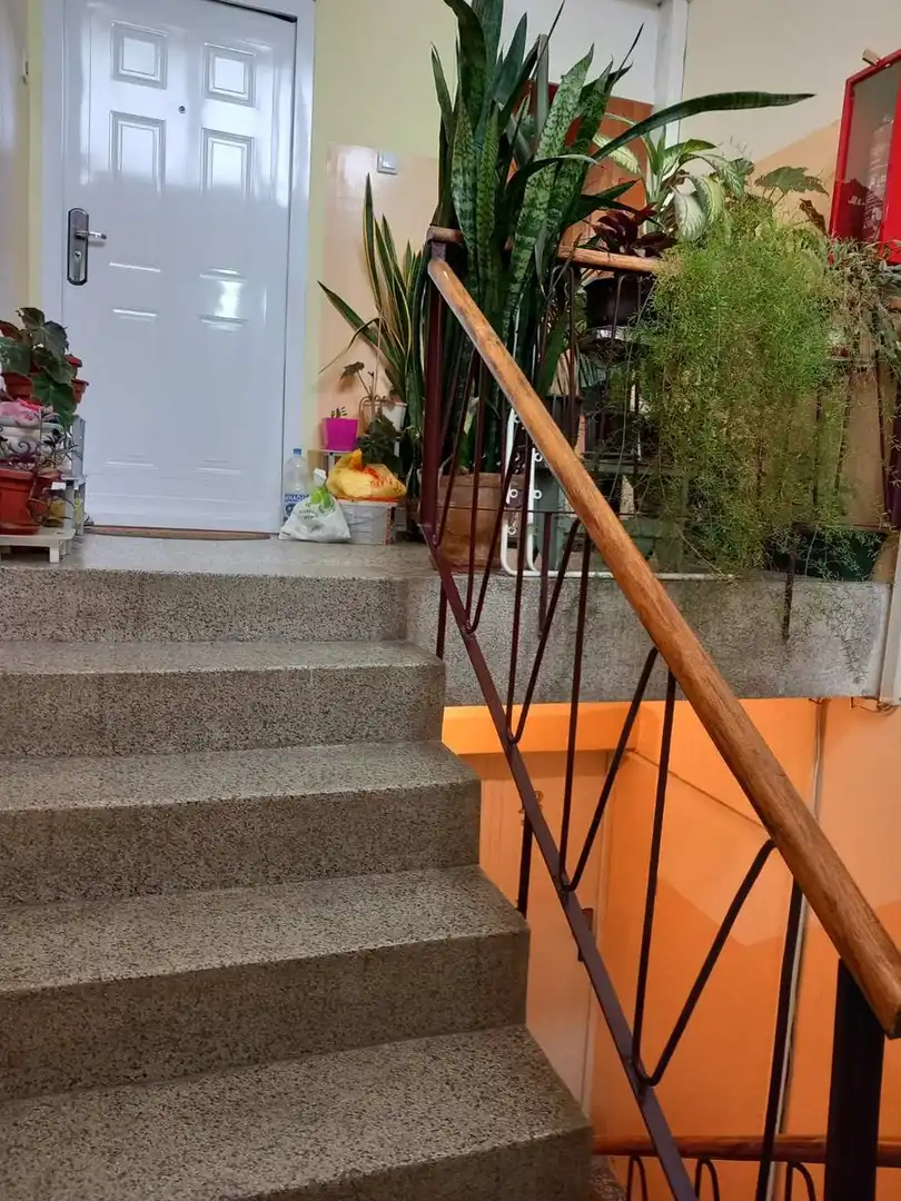 stan na prodaju Novi Sad 50m2 504789