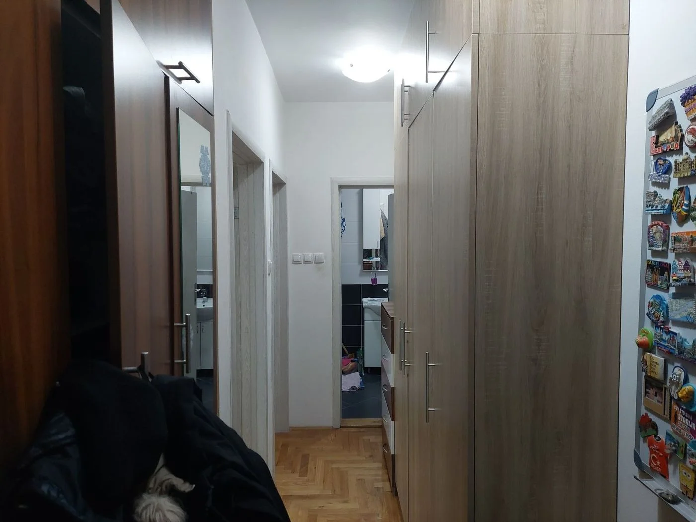 stan na prodaju Novi Sad 56m2 505323