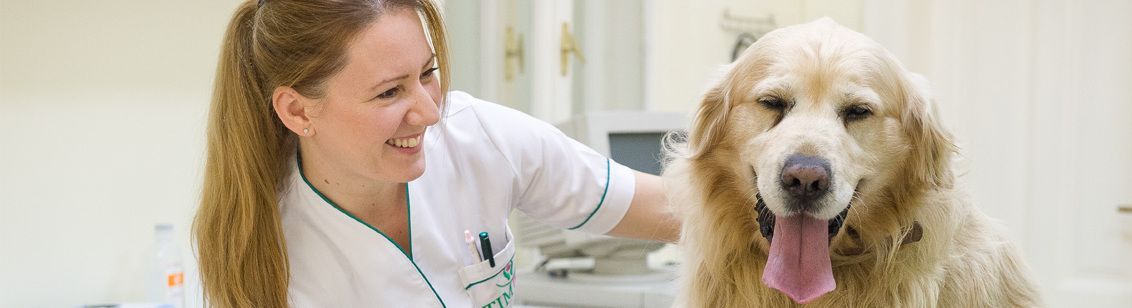 ispuna-67c7f075f7db583f03aade1b